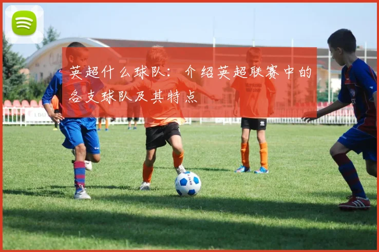 英超什么球队：介绍英超联赛中的各支球队及其特点